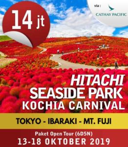 [THUMB]Hitachi-Seaside-Park-Kochia-Carnival-13-18-Oktober-2019-(6d5n)